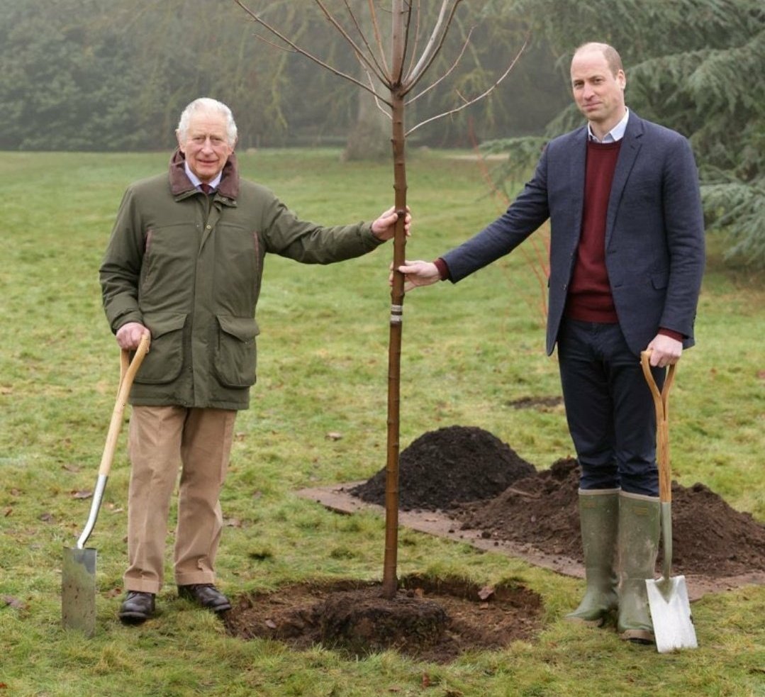 Midgetgems26's tweet image. &quot;Kate? No, we haven&apos;t seen her. Us? We&apos;re just burying a tree. PLANTING. We mean planting a tree. Not burying anything, no&quot;