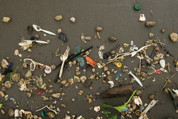 PlasticPollutes tweet picture