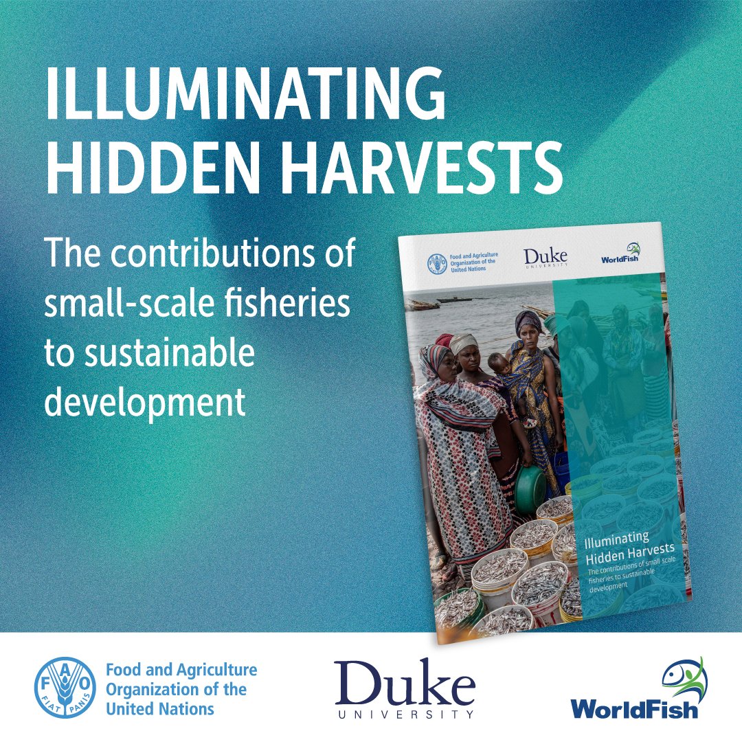 The lack of data on #SmallScaleFisheries hampers efforts to advance their rights & enhance their economic & social conditions.

The IHH study aims to bridge this gap, illuminating their vital contributions to local development, & food security 👉 bit.ly/42eUoX5

#WFC2024