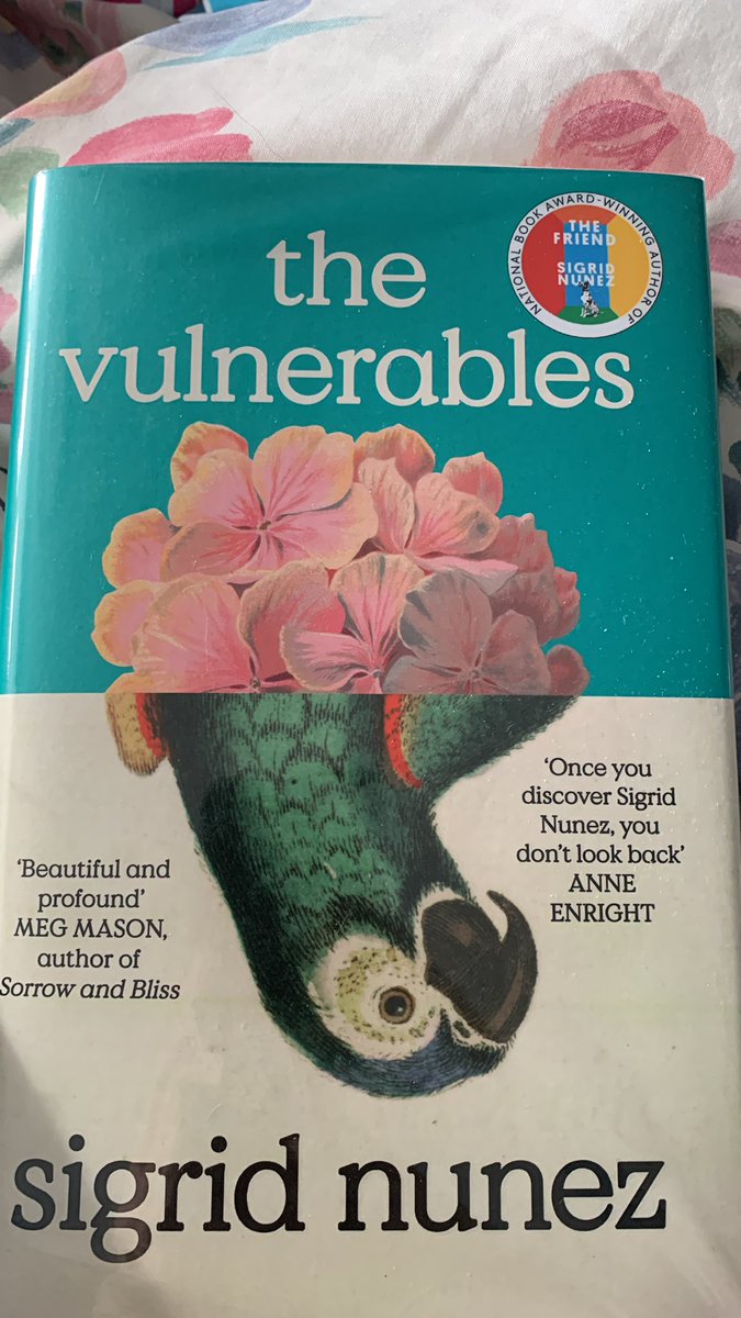 Heather Scott tweet media