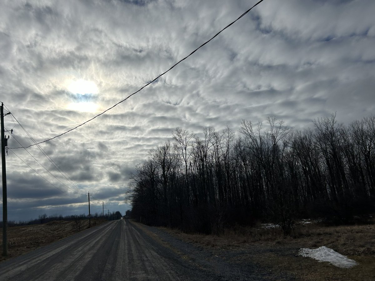 Christiane Wilke tweet media