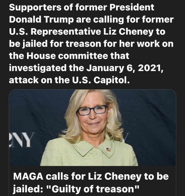 Who agrees with MAGA that Liz Cheney should be in jail for treason?🙌🏻