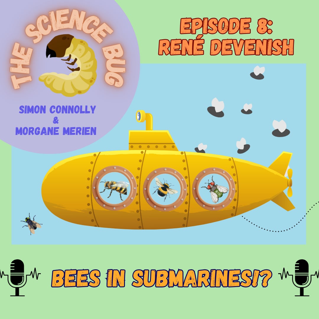 Bees in submarines?! Simon interviews René Devenish
<a href="/EcologistRene/">Rene Devenish</a> about...putting bees in little submarines. (No, genuinely, that's what the episode is about).

 You can listen on Spotify, iTunes or here: accessmedia.nz/ProgrammePage.…