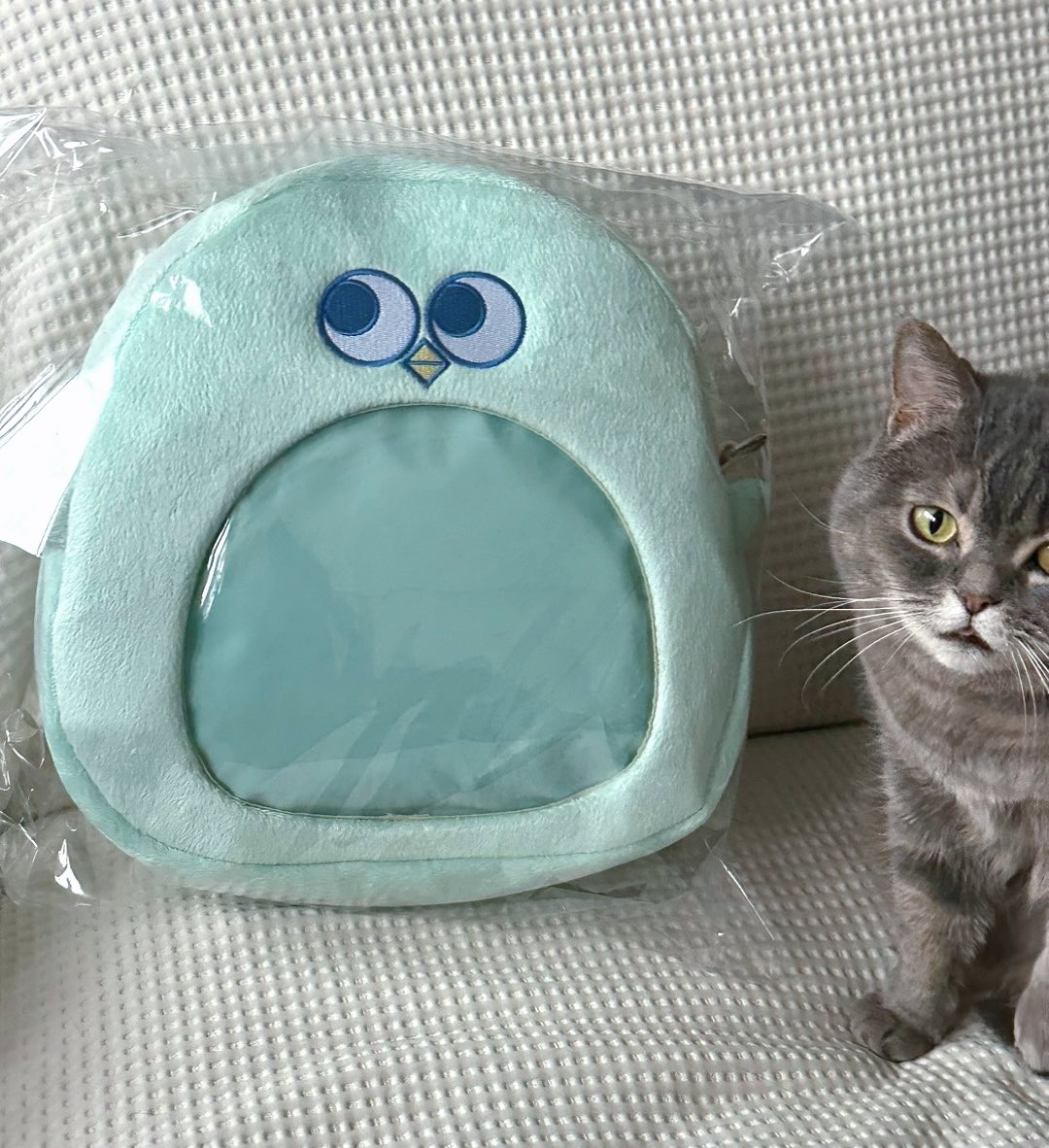 Dusty_0101's tweet photo. I put a lot of effort into making this miguin itabag and finally gave it to her, and I am so grateful for it.🥹 https://t.co/M1D5GG2dVa