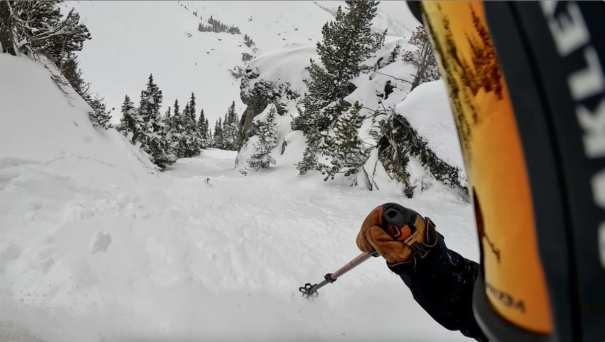 Ryan Proctor tweet media