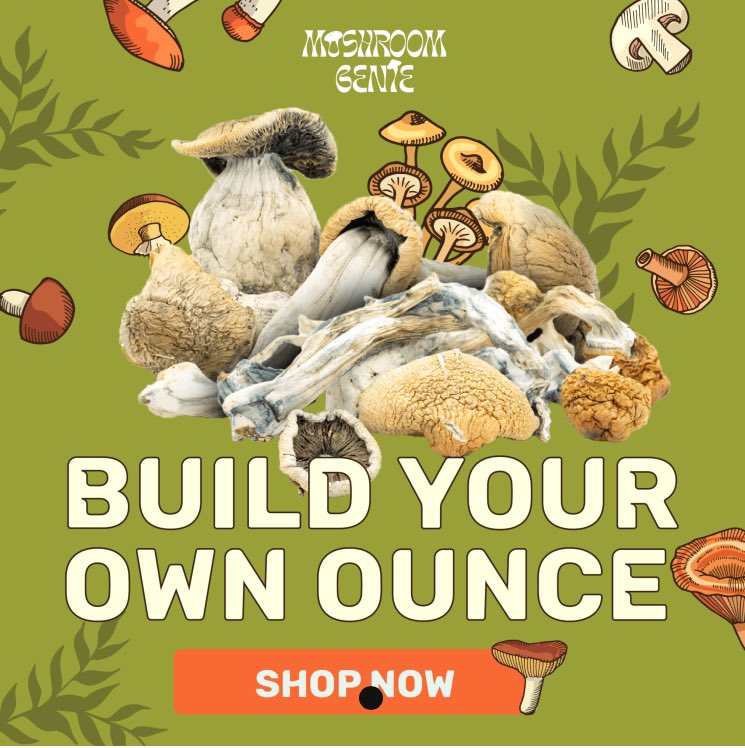 affontrk.net/?a=65&c=512&p=…
Link 👆👆👆

 #CannabisCommunity #cannabisculture  #StonerFam #weedlife #Mmemberville #WeedLovers #420life #420community #Cannabis