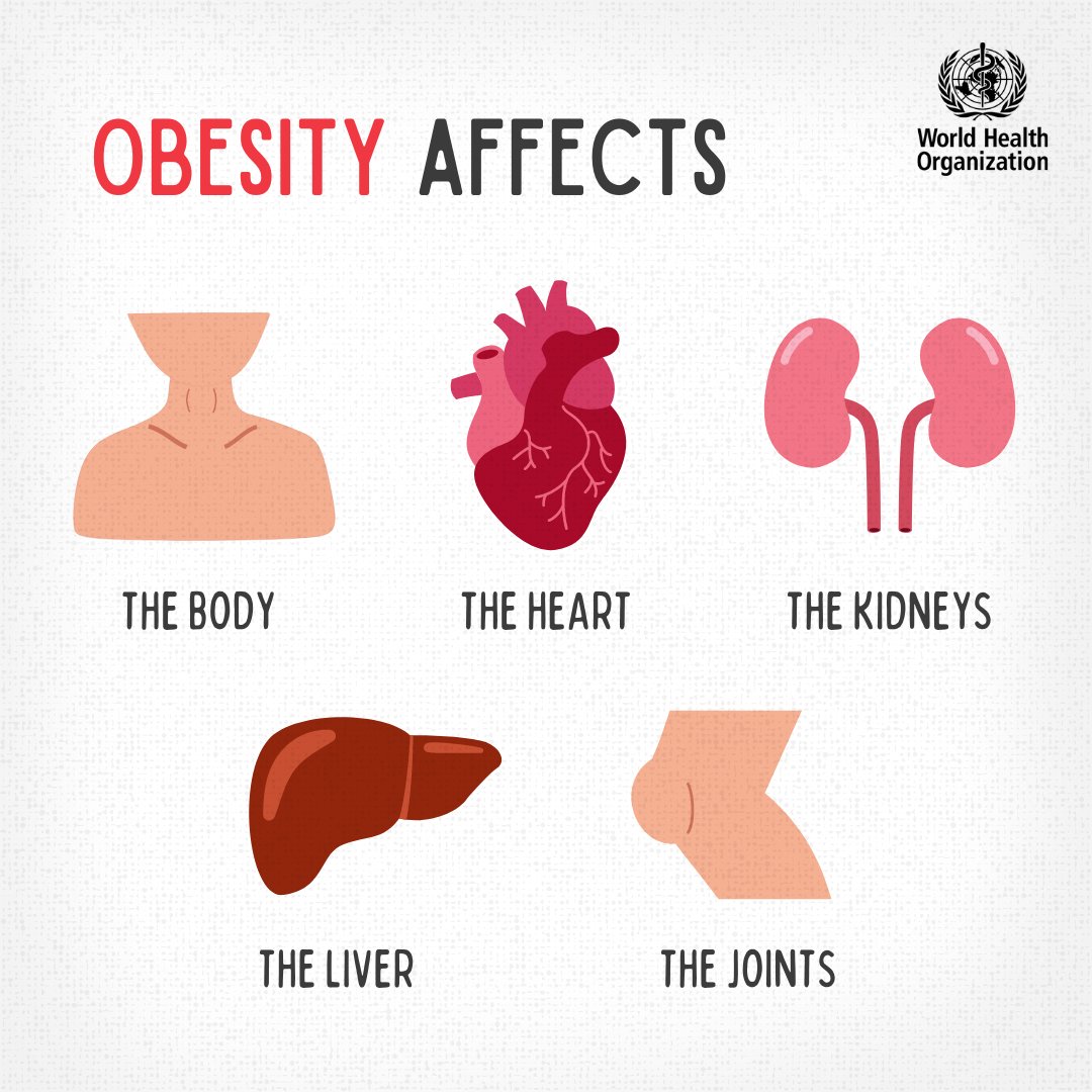 1 in 8 people are now living with #obesity.

It affects:
🔸 the heart
🔸 the liver
🔸 the kidneys
🔸 the joints
🔸 the reproductive system

More info 👉bit.ly/42YG7yo #WorldObesityDay