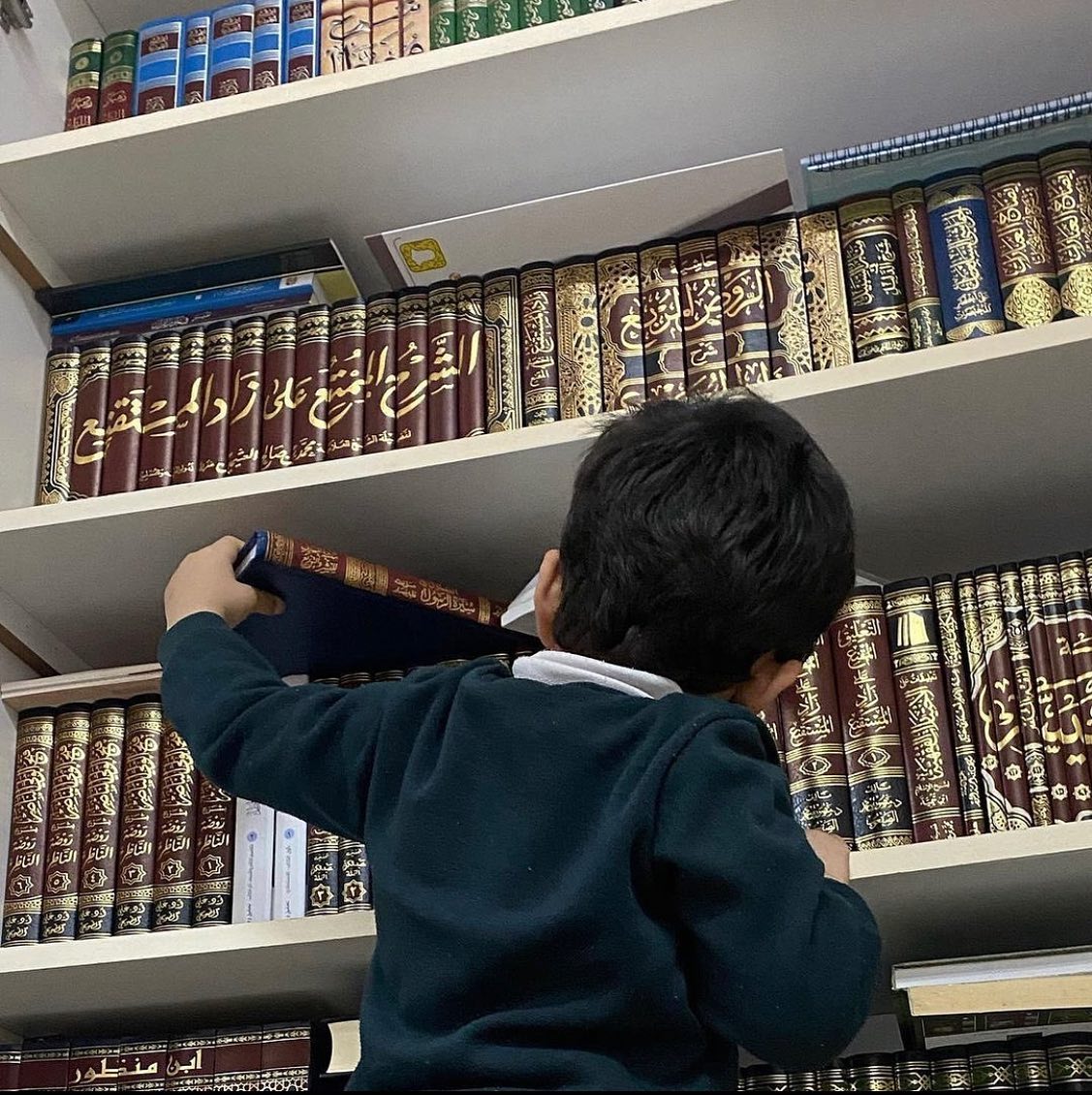 وَينشَأ ناشِئُ الفِتيانِ مِنّا
 عَلى ما كانَ عَوَّدَهُ أَبوهُ

وَما دانَ الفَتى بِحِجىً وَلَكِن
يُعَلِّمهُ التَدَيُّنَ أَقرَبوهُ