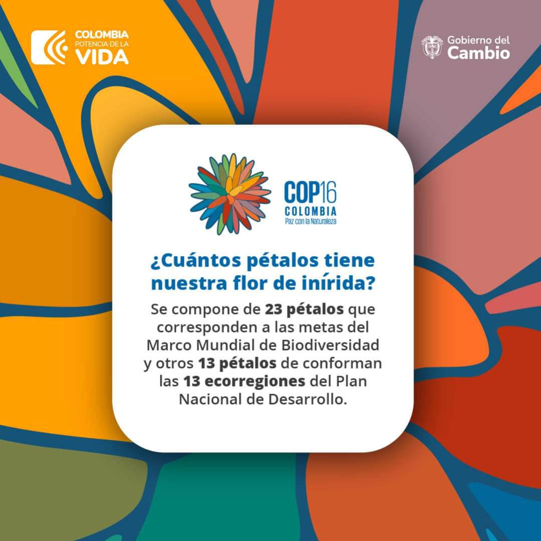 #COP16Colombia 😍¡Es la primera vez que se usa una flor en un logo de la COP! 

🌼Esta representación de la flor de Inírida tiene 36 pétalos que corresponden a 23 metas del marco mundial de #biodiversidad y 13 a las ecorregiones del Plan Nacional de Desarrollo.
