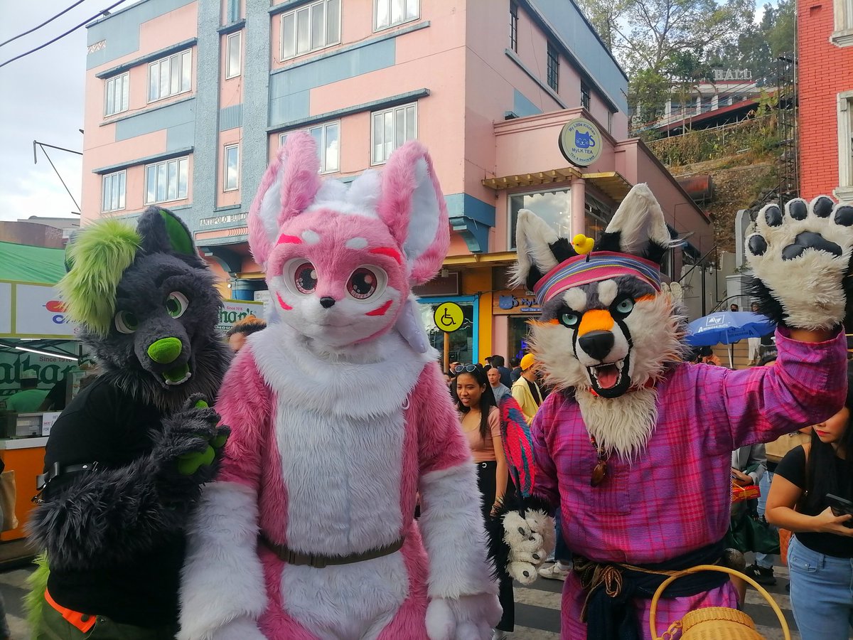 Happy Panagbenga to everyone. Me and @Mitri_Fox and Nikko Ong with other Baguio Furs going around Session Road. Taking pictures and seeing the smiles and astonishment of everyone. #Baguio #Fursuit #furryartist