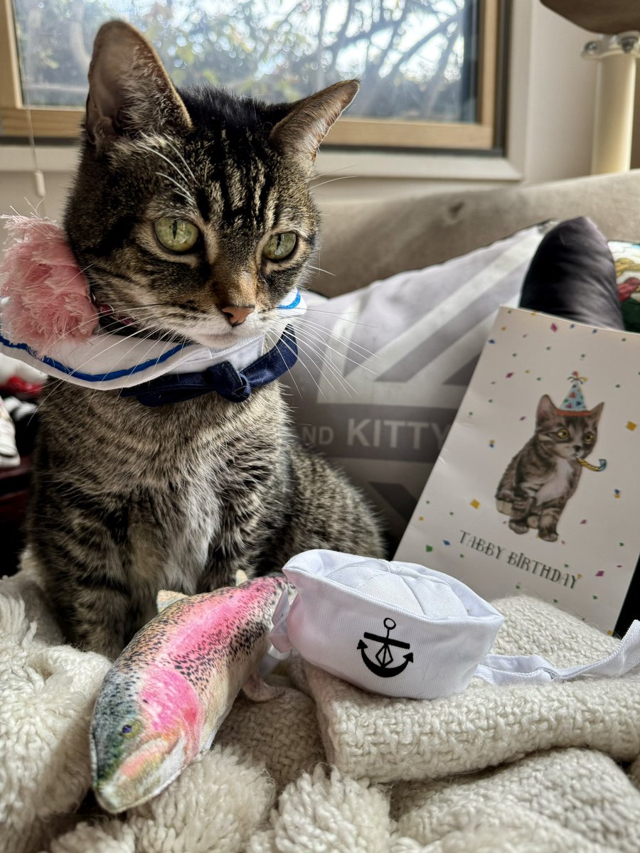 RoxyRoxLA tweet media