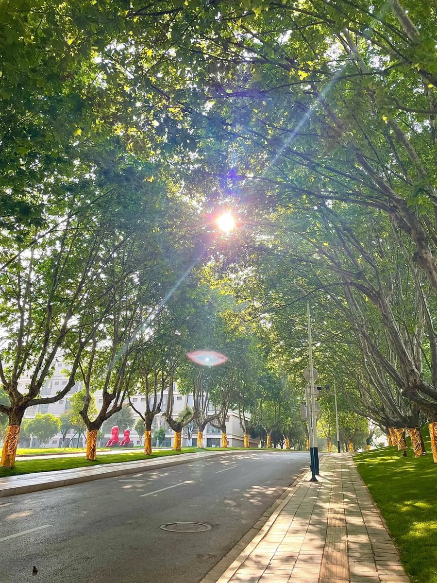 abhijeetnishra2's tweet image. winter goes to spring🌟