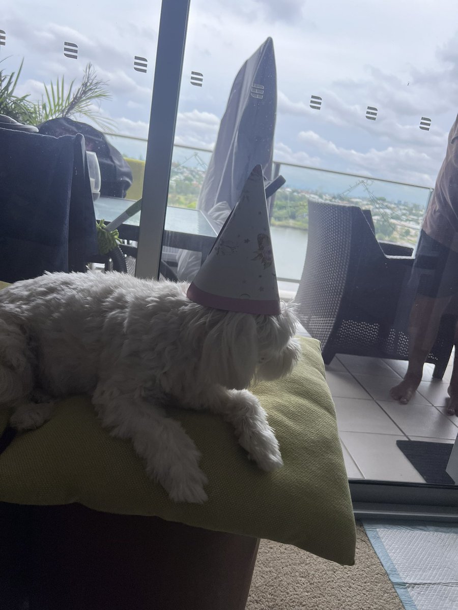 Sam Hussey (@samhussey) on Twitter photo Always remember to find that dog  in you 🐶 
But never forget - You can take the dog out of the fight, but you can’t take the party out of the dog 🎉 🥳 💪 
Work hard, play hard right? Always remember to find that dog  in you 🐶 
But never forget - You can take the dog out of the fight, but you can’t take the party out of the dog 🎉 🥳 💪 
Work hard, play hard right?