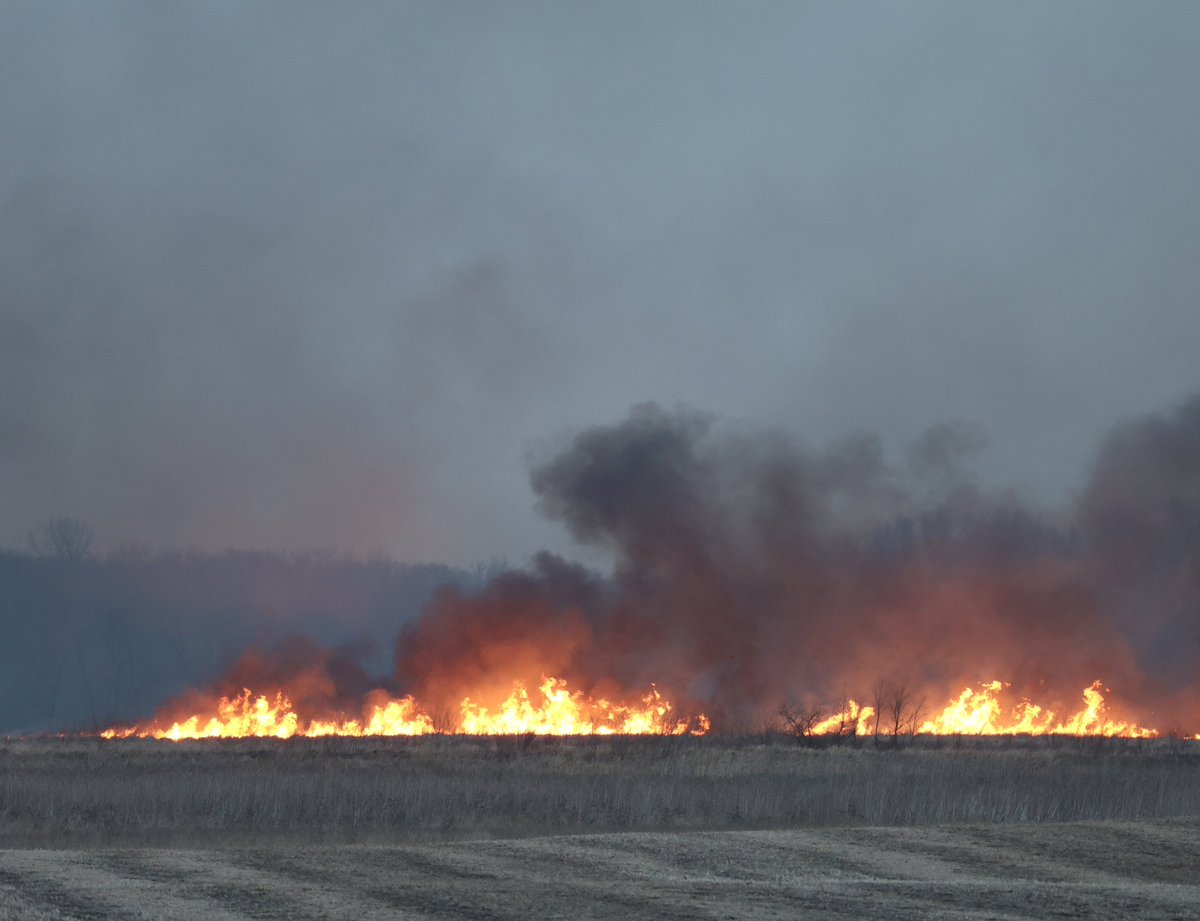 Wildfire burning through fields and wetlands east of Waseca, Minnesota, this evening. West winds gusting 30-40 mph are making firefighting a challenge #mnwx