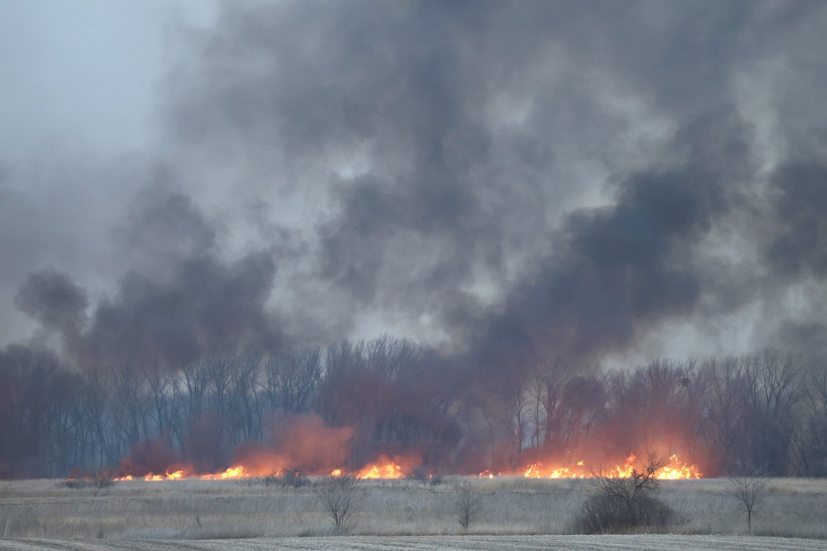 Andrew Krueger tweet media