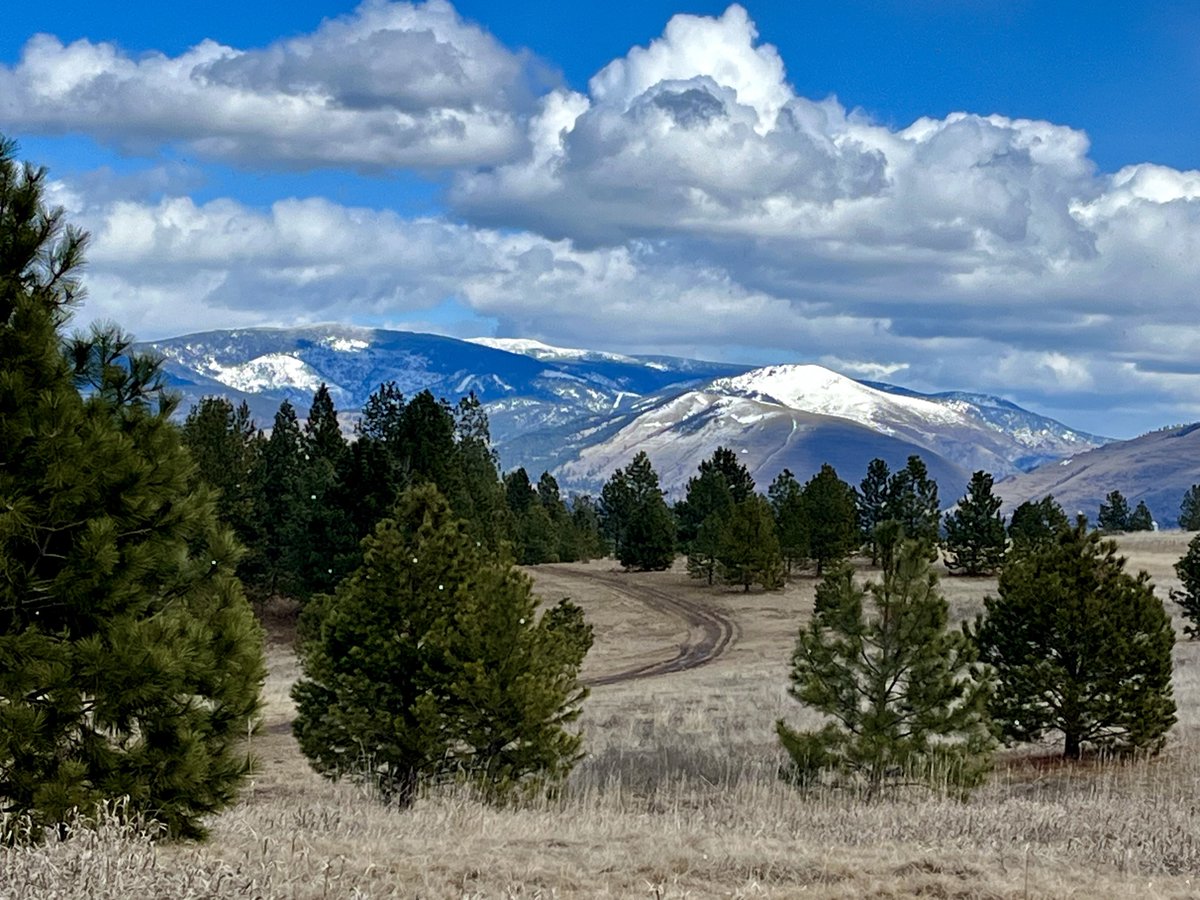 Great day for a hike but still hard not to worry about that disappearing snow level. #toosoon