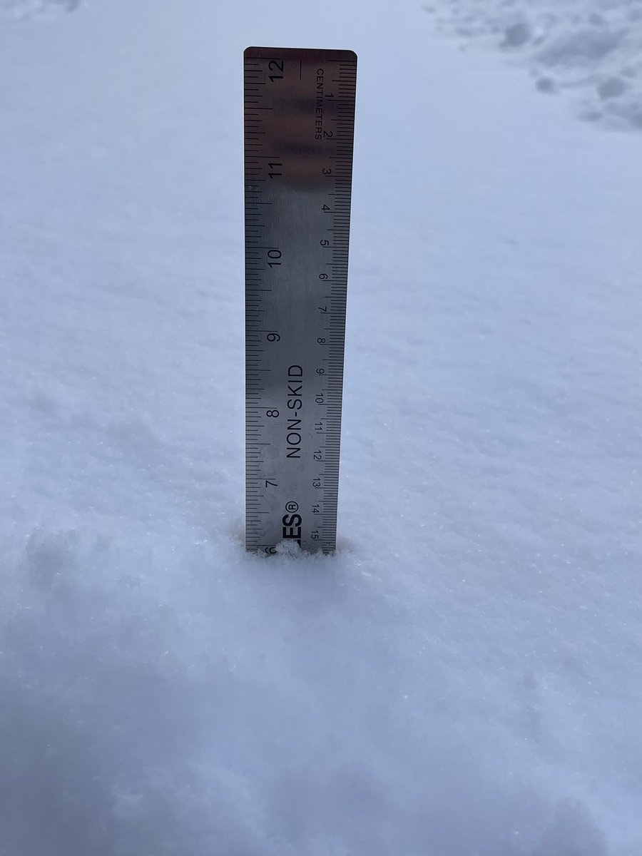 Around 15 cm (6 inches) of snow in extreme #swSask. This was in protected backyard.  Out on the prairie was lots of wind.  Hard to measure as it all blew in ditches, windbreaks etc.  Quite light and fluffy. Not high moisture content #skstorm