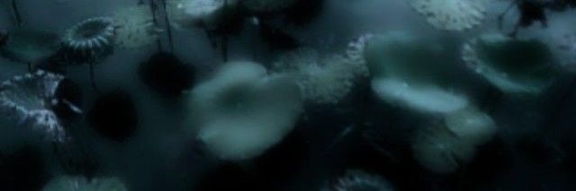 ⠀ 
⠀ #HSRRP #HSROC #HSR⠀ 
⠀