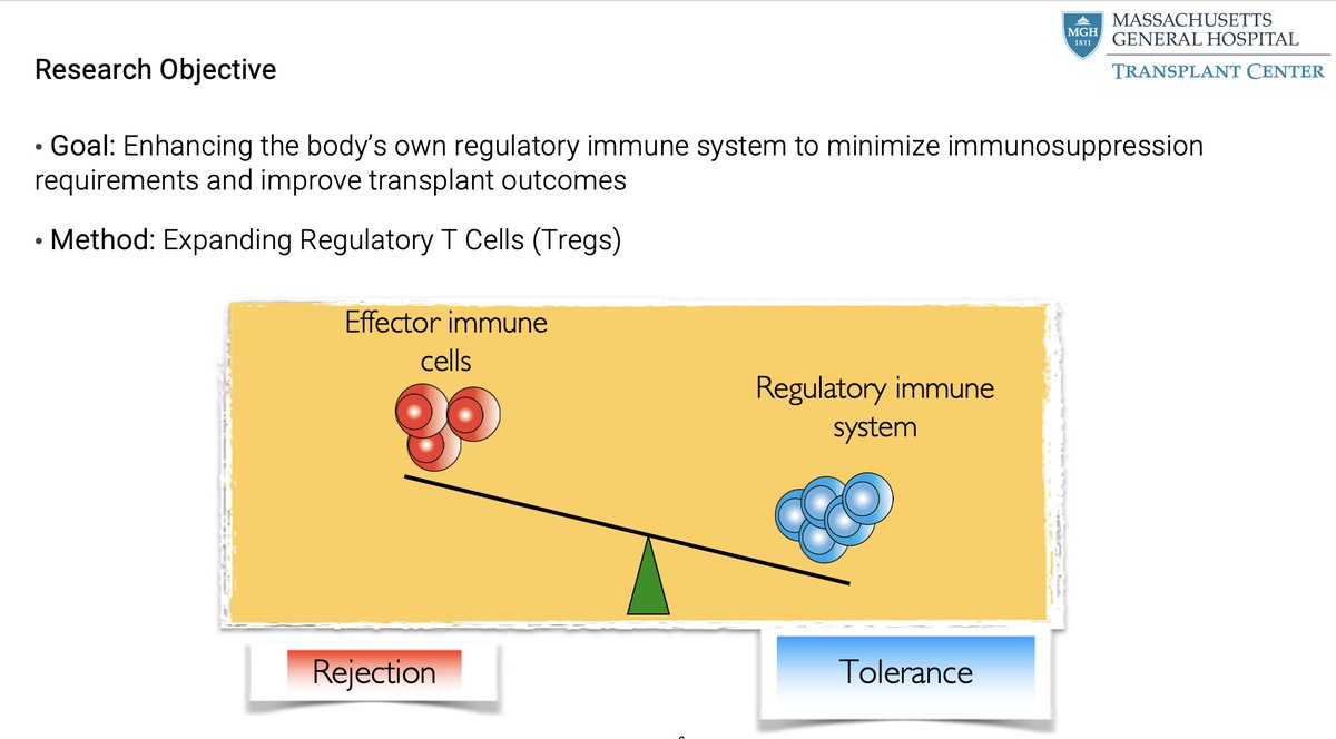 Since first kidney transplant >50 years ago, little has changed in the approach to prevent rejection after transplant. Excited to share our work changing the paradigm by expanding Tregs& allowing immunosuppression reduction jci.org/articles/view/… View details 👇 @mgh_transplant