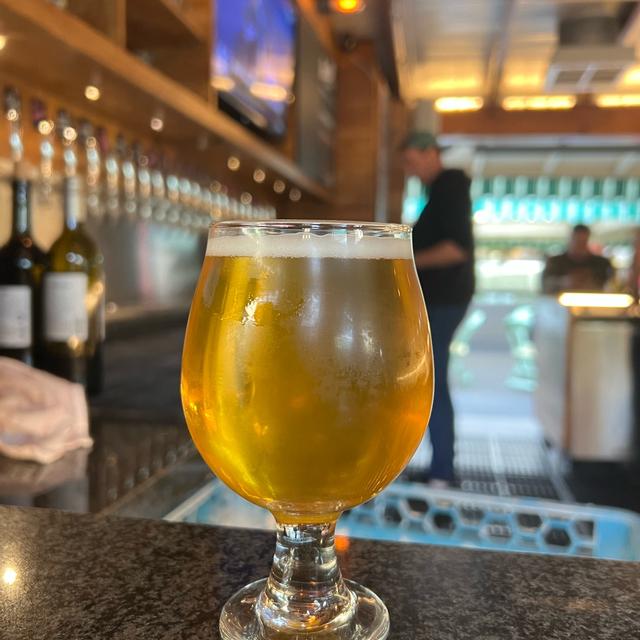 Pliny the Younger tweet media