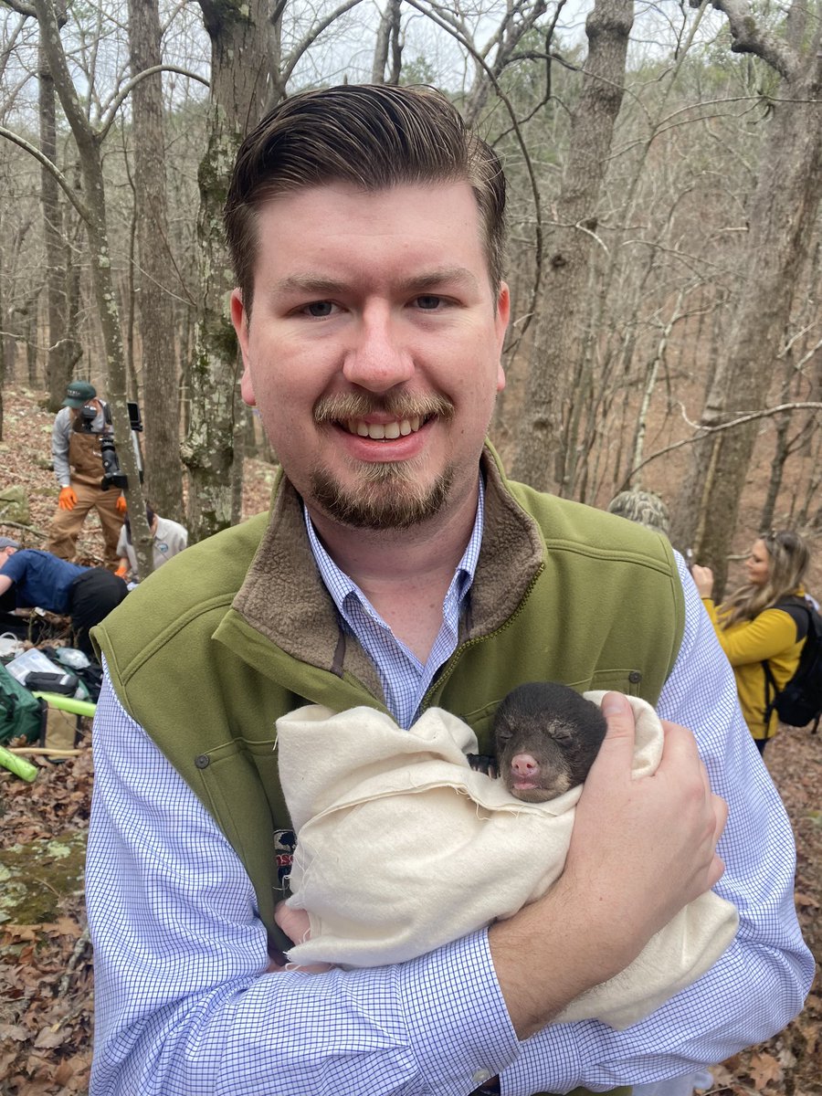 Wade_Andrews_'s tweet photo. Had an awesome and unique experience today. I joined the @ARGameandFish on a bear den survey. The bear population in Arkansas is growing and these are some pretty incredible animals. The mother was tranquilized, had her vitals checked out, fitted with a new GPS collar, and then woken up. The cubs are fun to hold too.