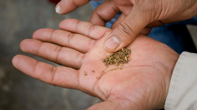 🚨 Consumption of paan, tobacco and other intoxicants has increased with people spending a bigger portion of their income on such products, while education expenditure falls in the last 10 years. (Household Consumption Expenditure Survey 2022-23)