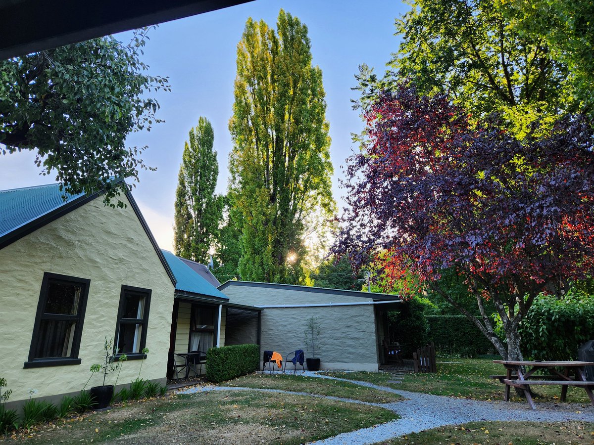 Lynne Allison tweet media