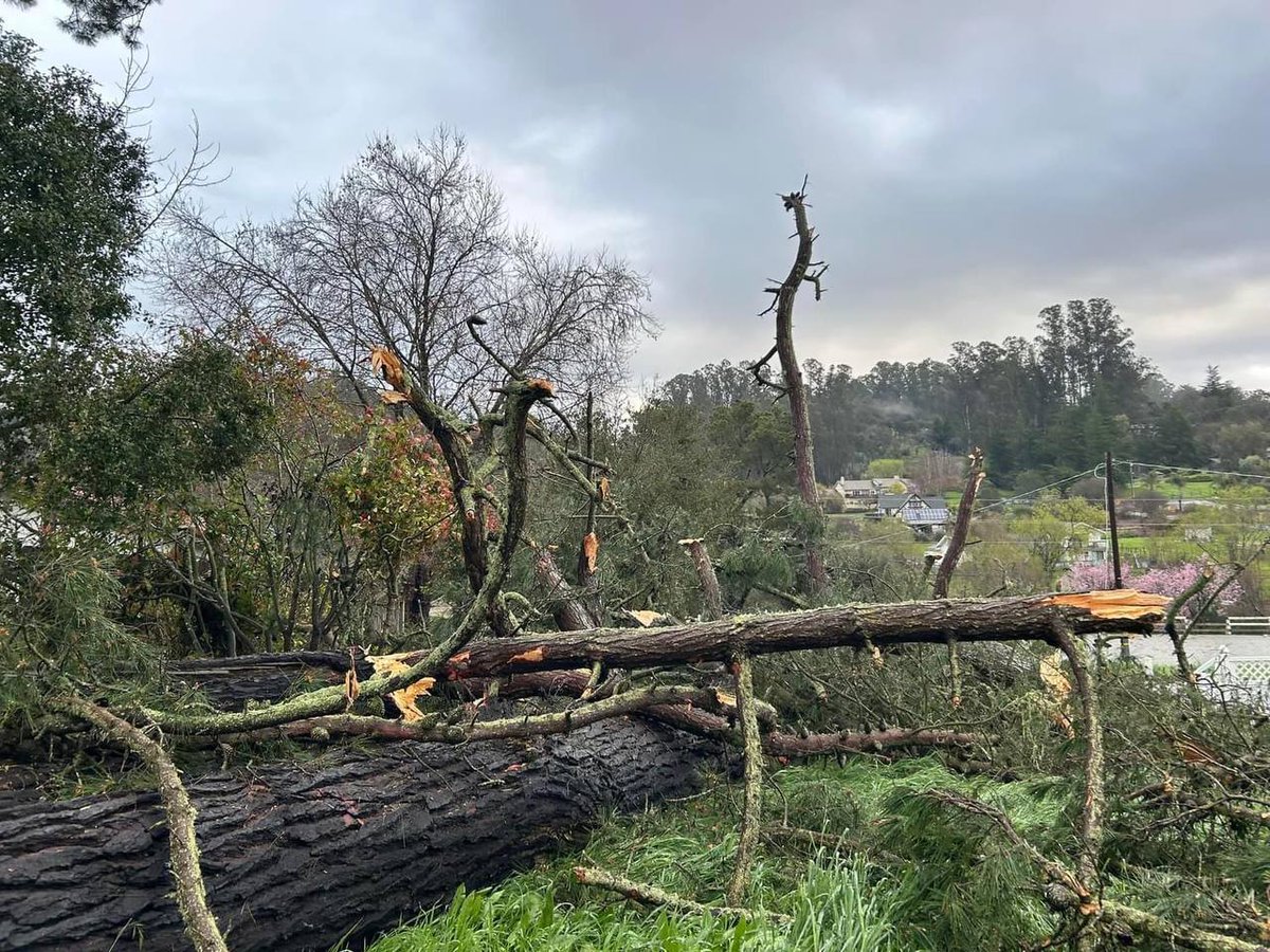 Stacey (@stacey_hb_) on Twitter photo <a href="/RobMayeda/">Rob Mayeda</a> These are from a ranch in Larkin Valley during that time. They swore it was a tornado. <a href="/NWSBayArea/">NWS Bay Area 🌉</a> <a href="/RobMayeda/">Rob Mayeda</a> These are from a ranch in Larkin Valley during that time. They swore it was a tornado. <a href="/NWSBayArea/">NWS Bay Area 🌉</a>
