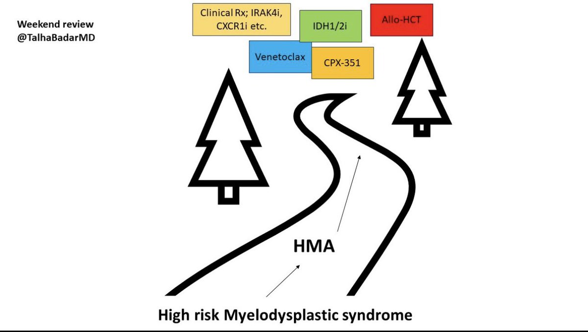 Weekend review 

1/11 Outcome of MDS progressing on hypomethylating agent has dismal OS in the range of 6-9 months; worse with #TP53m 

No approved therapy for this poor prognostic disease.

doi.org/10.1038/s41408…

👇🏽 🧵 on prospective and retrospective studies.