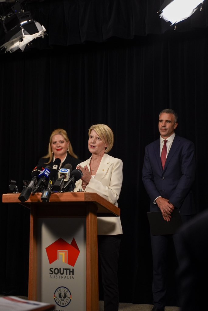 Respected South Australian advocate, author, former diplomat and Senator <a href="/NStottDespoja/">Natasha Stott Despoja</a> AO has been appointed to lead the state’s Royal Commission into Domestic, Family and Sexual Violence.