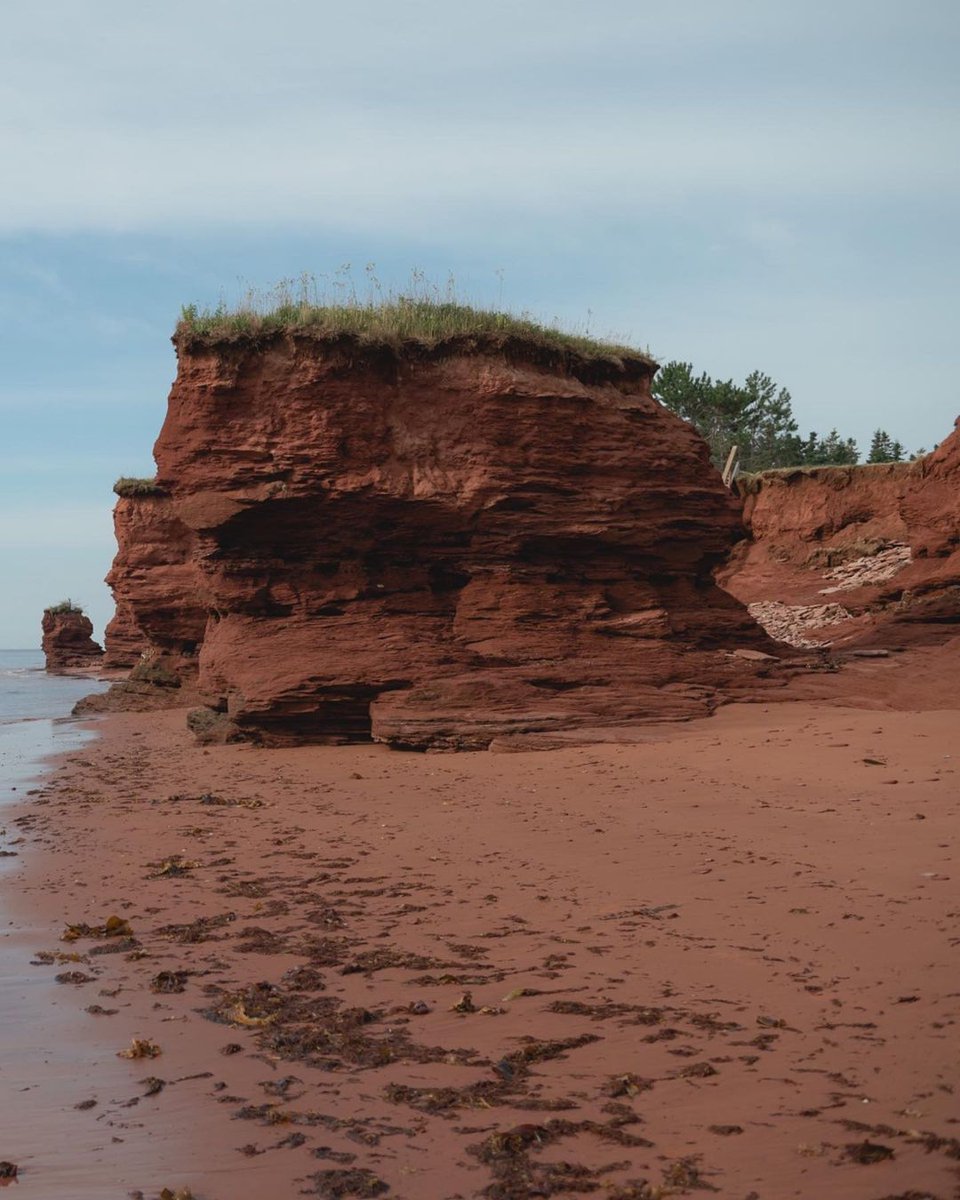 Even on a foggy day, those sandstone cliffs take our breath away ❤️✨ 

📍 Tignish Shore
📷 IG | cariannelegarephotographie