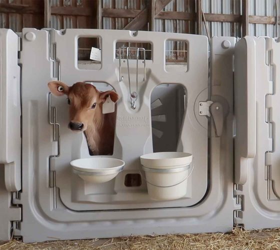 calf hutch