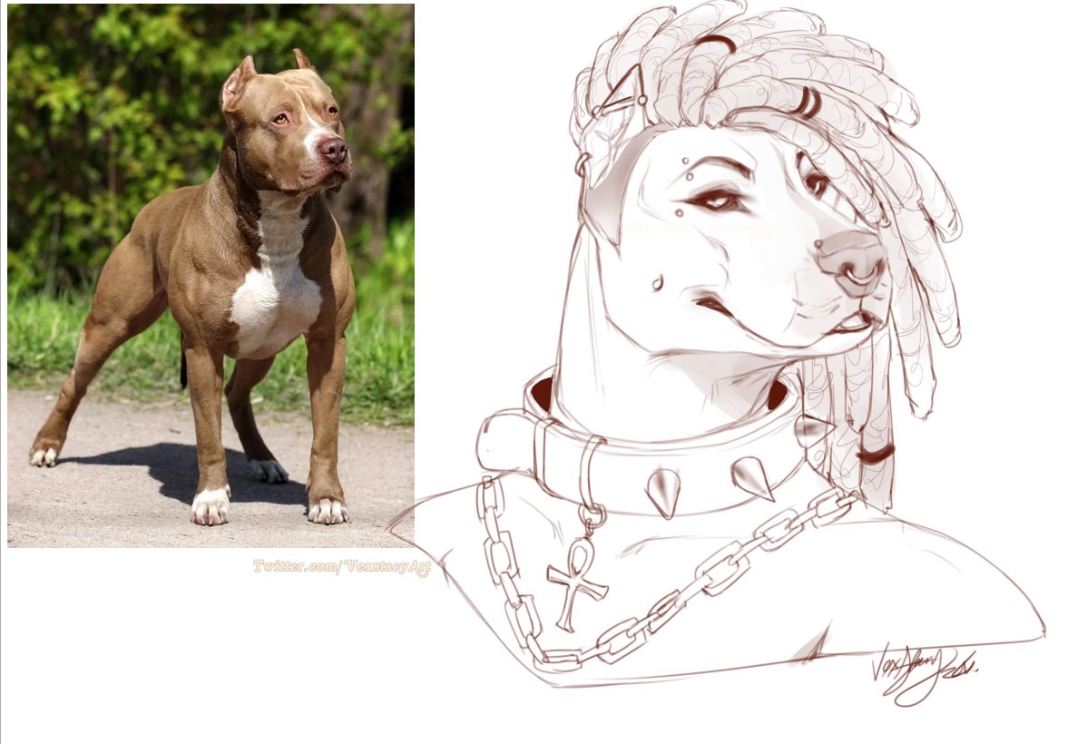 Pitbulls and their gorgeous strong features~