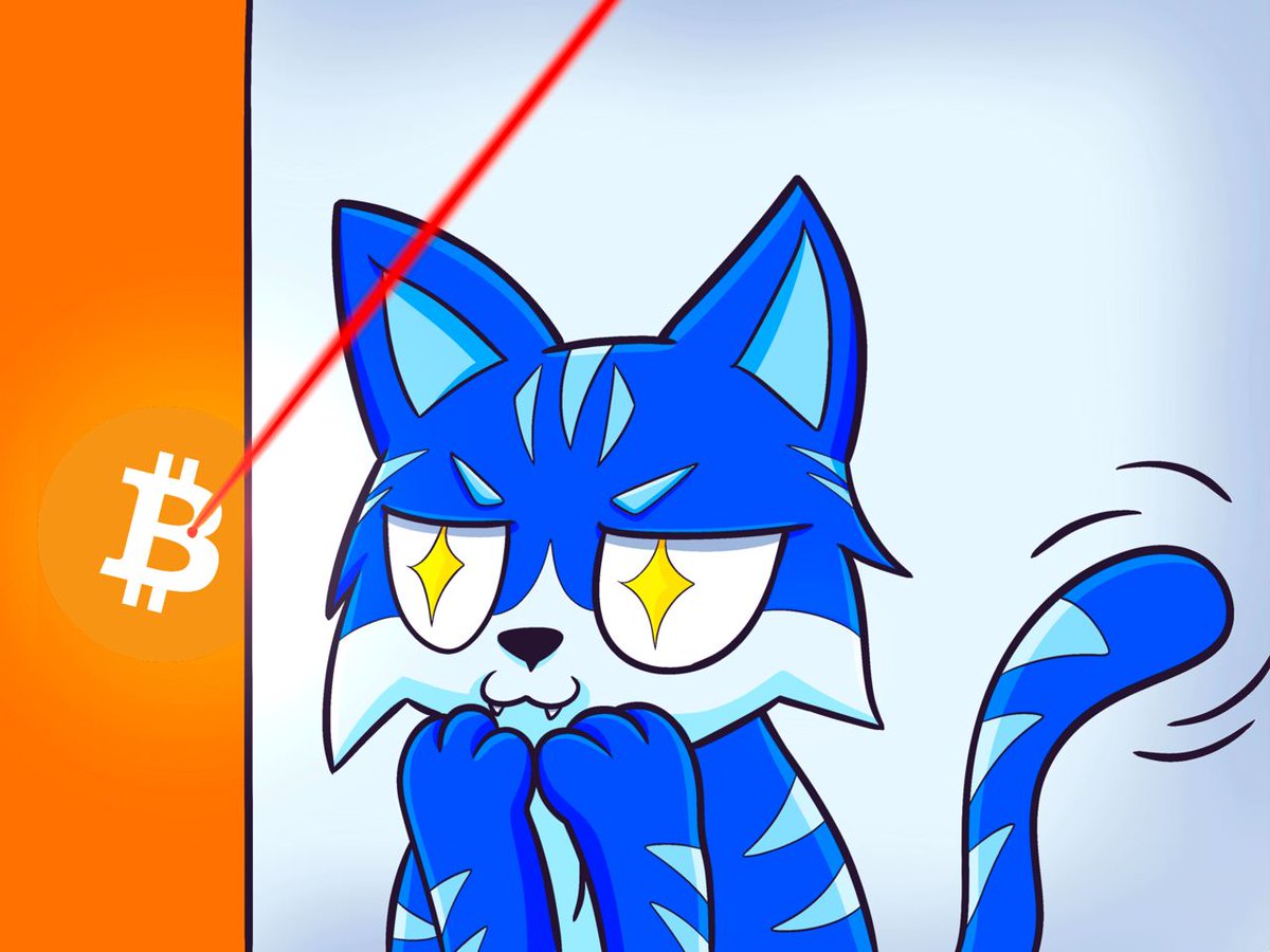 Did you know that Toshi is named after Satoshi Nakamoto, the pseudonym of  the developer or group of developers of Bitcoin? Brian Armstrong, the  founder of @coinbase, named his favorite feline after