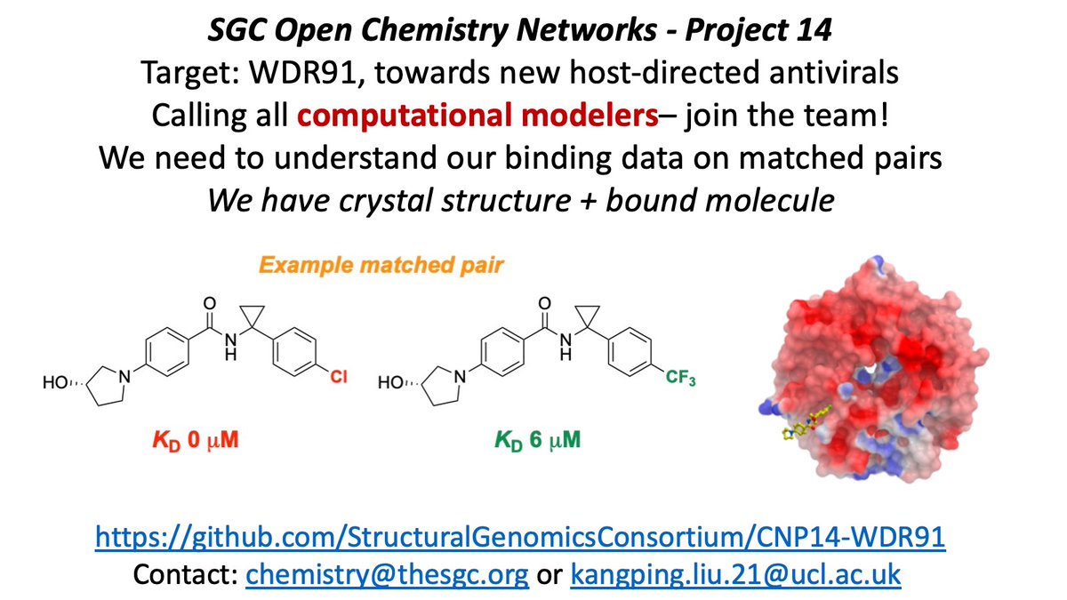 An #openscience project needing community help from computational modellers. WDR91 for host-directed antivirals. We've binders + xstal structure. We need to understand the data, particularly the matched pairs. github.com/StructuralGeno… @thesgconline @target2035 @UCLLifeSciences