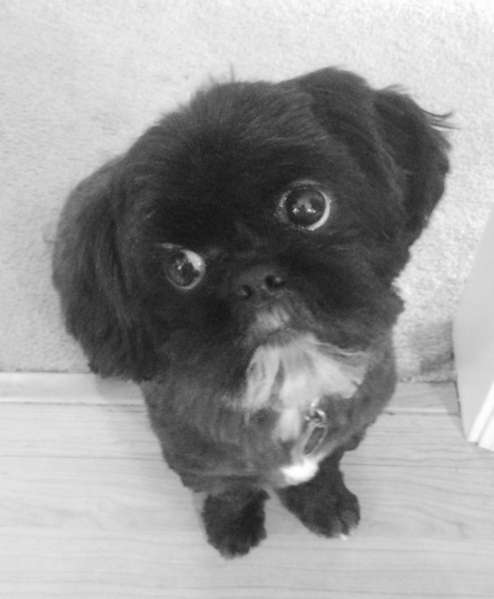 Amy Gaylor tweet media