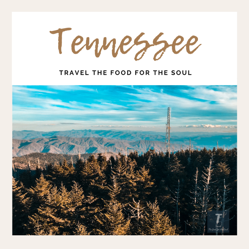 The Ultimate Travel Guide to Tennessee!
#travel #traveler #wanderlust #Tennessee
travelthefoodforthesoul.com/the-ultimate-t…
