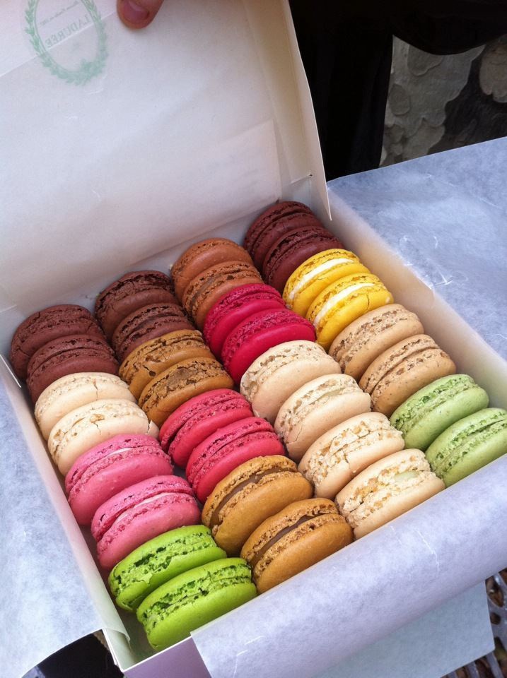 ksjbutterfly_'s tweet photo. Top 4 comidas que se um dia eu experimentar e não for tão gostoso como todo mundo diz que é eu me m@t0 https://t.co/fHOM5kPIfE
