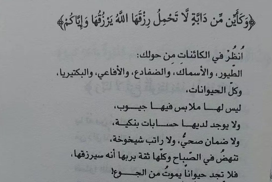 ابو علي tweet media