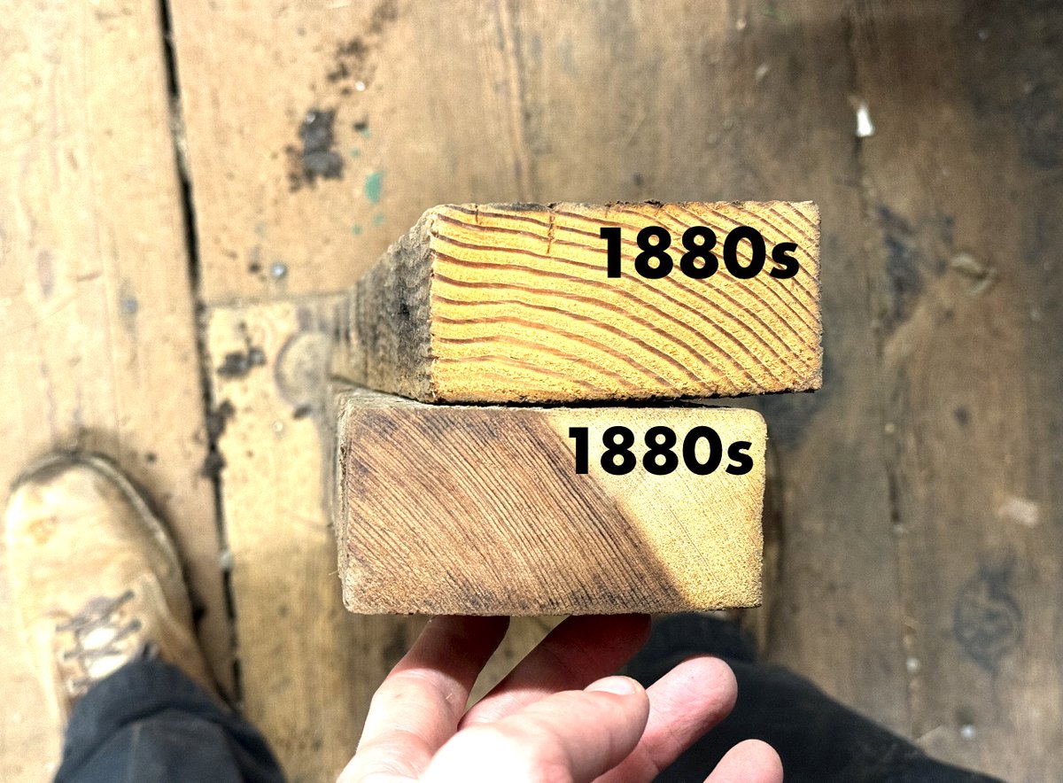 There is probably more to it. I pulled two 2x4s (dont get me started - modern '2x4s' measure 1.5x3.5 inches) from my 1880s barn in south bay. I think it's just survivorship bias that we think old wood is so good. And yes, I am planning to become a wood restorer post-singularity.
