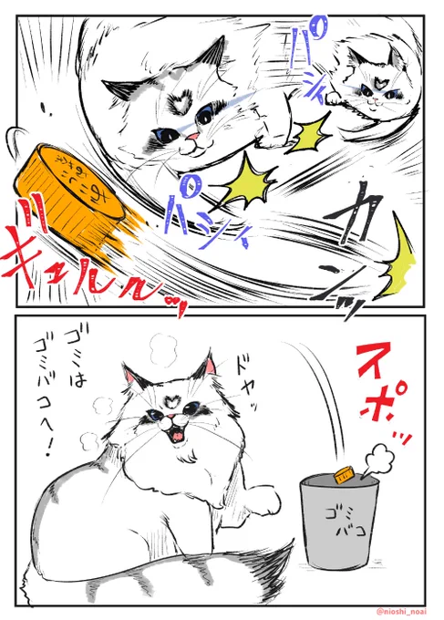 遊ん…ゴミ捨てする猫
#猫 