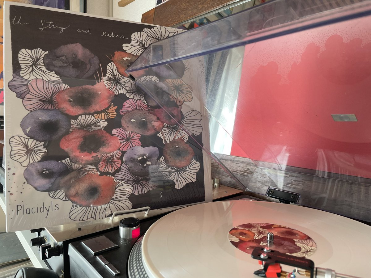 The String And Return／Placidyls（2023）

昨年末最後に入手して思い出深い 静かなブームに煽られ…? カンザス産スロウコアのダークホースまさかの18年振り新作 レーベルも活きていたのが衝撃 どんよりした翳りは無く優しさを感じる音像は過去作から変わらずで曲も粒揃い…

No.517 #ABCDEmoDiaries