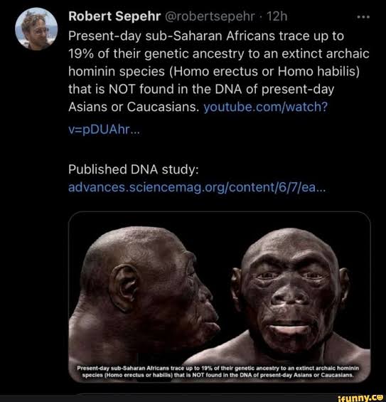 @heshidicjudaism Sapien+Neanderthals= Europeans Sapien+ Homo erectus= African