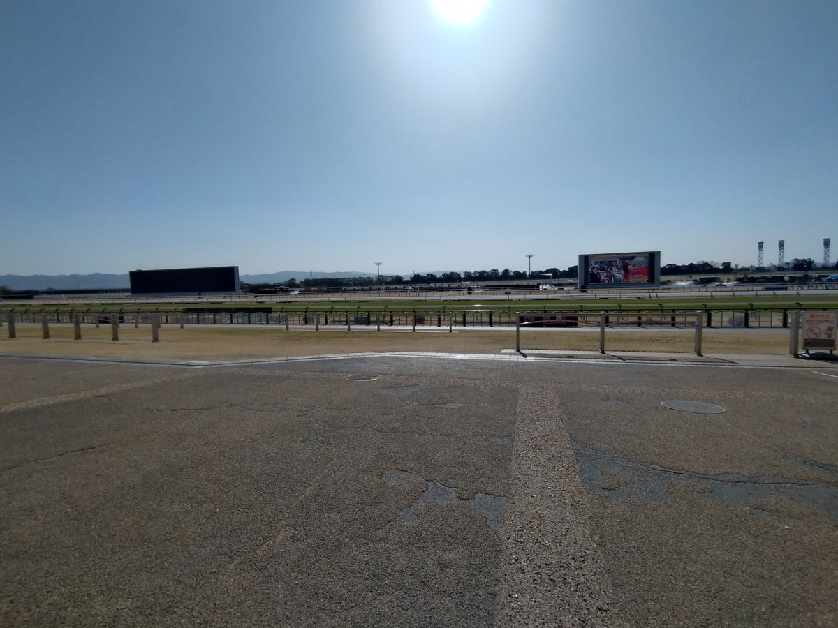 京都競馬場
