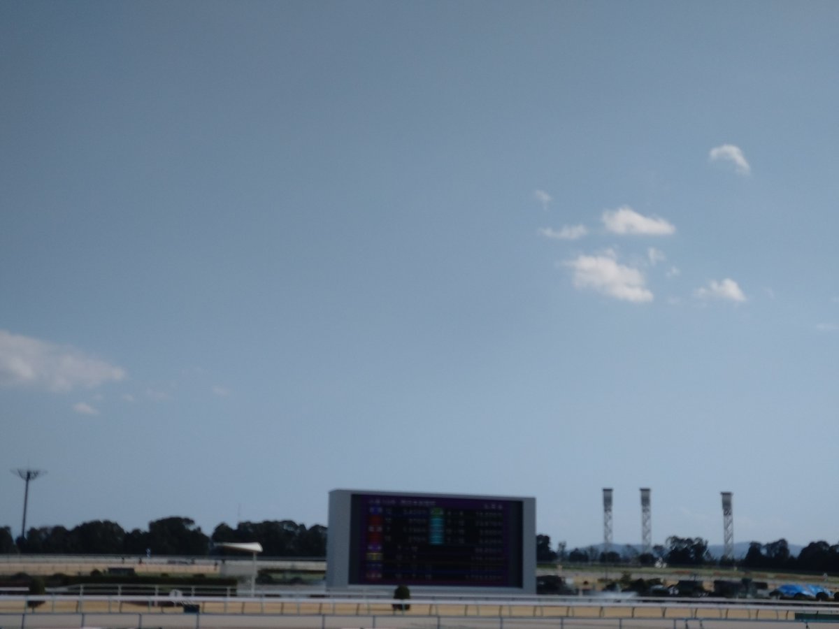 京都競馬場