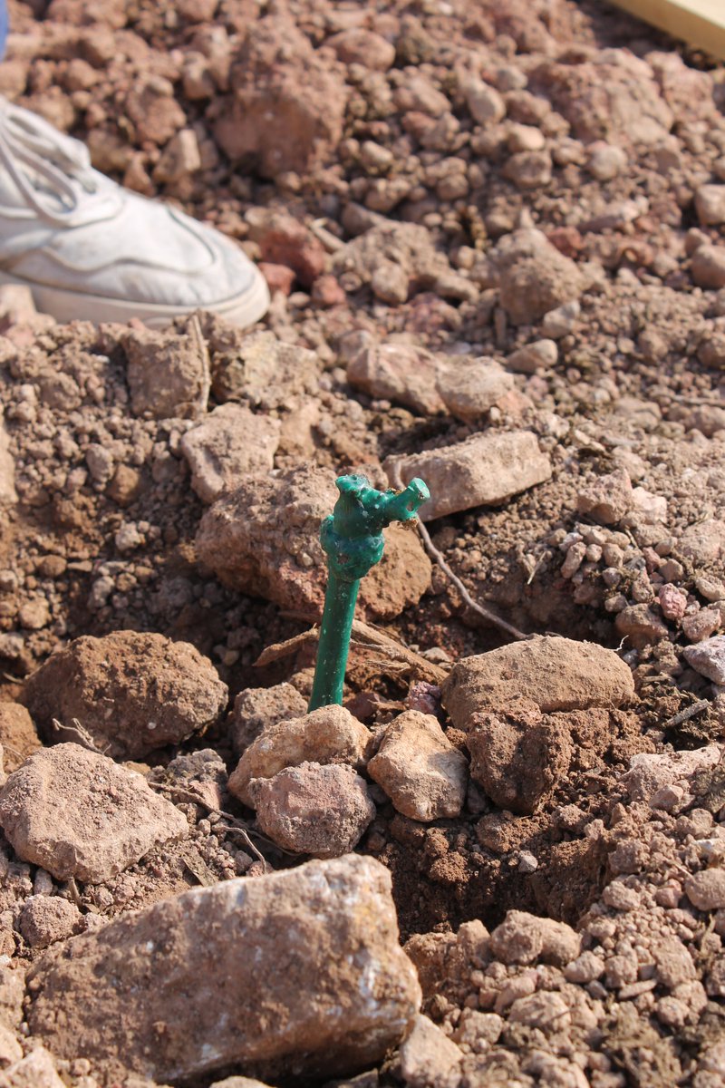 cocaifito's tweet photo. 🌱Aquesta setmana hem estat plantant la Garnatxa Blanca a la resta de finca del 📍Mas del Serraller. Amb aquesta última plantació podrem donar per acabada tota la finca🙌

Havieu vist mai plantar els ceps?🚜 https://t.co/XKUHIpPJrs