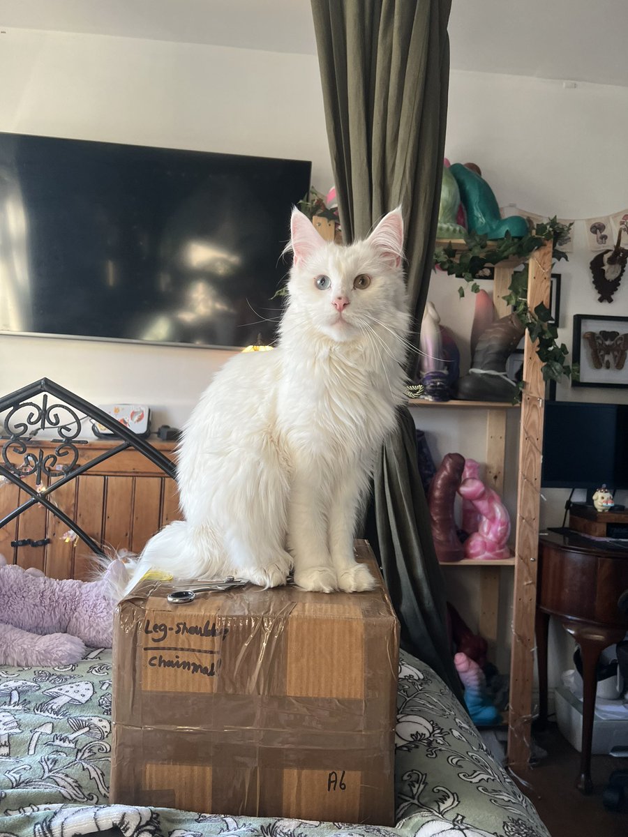 Unboxing some armour a lovely sub bought me today ahhh