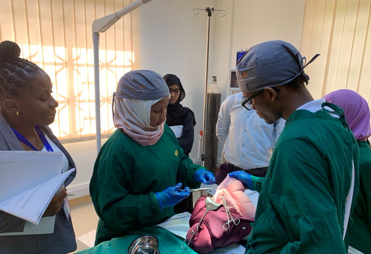 Announcing a new partnership with the @wfsaorg ✨ 👉We have joined forces to increase impact when it comes to safe cesarean section. Discover more here: laerdalglobalhealth.com/lgh-wfsa-appli… #WCA2024 #safesurgery #helpingsavelives