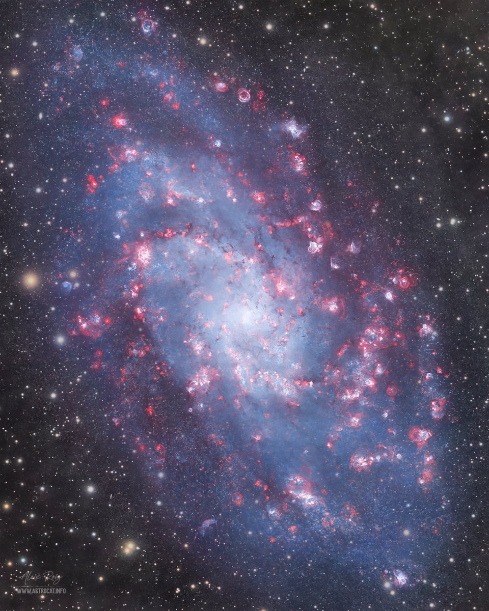 parcastroprades's tweet photo. La galàxia del Triangle i una nova nebulosa descoberta des de Prades @astrocatinfo 

https://t.co/YgrZ89Rz9R https://t.co/Yk3ZLVbDw9