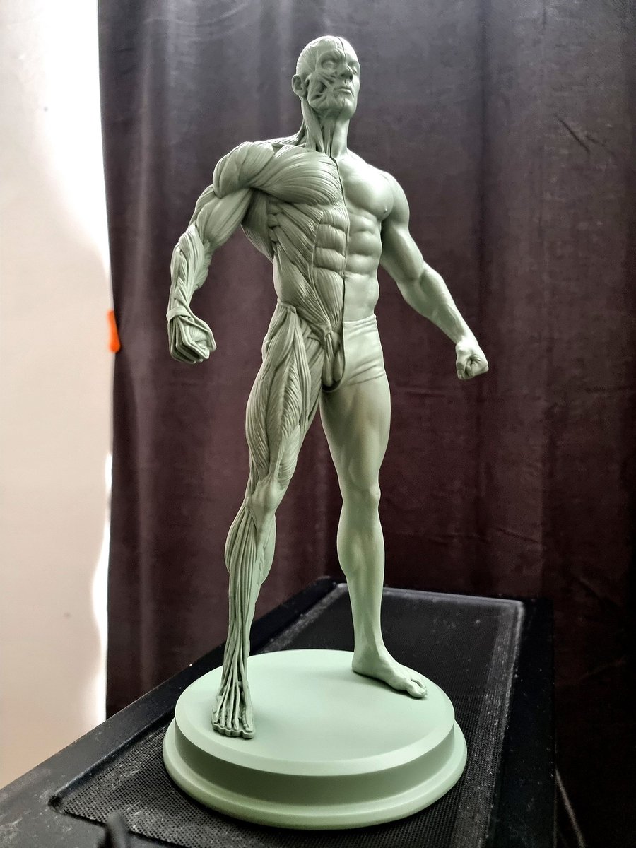 @rafagrassetti This is beautiful, Raf!! 💚💪 You have to tell me how you printed this, legit feels like polystone it's that smooooth!